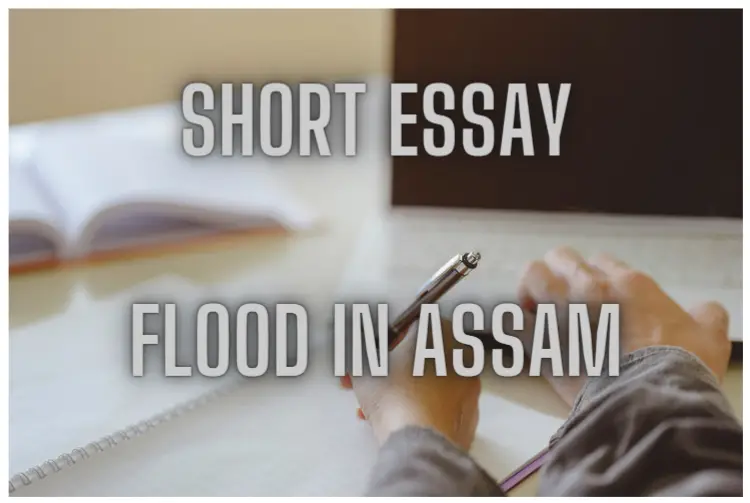 Short Essay: Flood In Assam - Mr. Greg's English Cloud